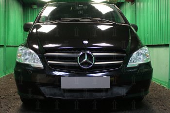 2 969 р. Защитная сетка в бампер (низ, ячейка 3х7 мм) Alfeco Стандарт  Mercedes-Benz Vito  W639 (2010-2014) (Чёрная)  с доставкой в г. Санкт‑Петербург. Увеличить фотографию 1