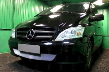 3 099 р. Защитная сетка в бампер (низ, ячейка 3х7 мм) Alfeco Стандарт Mercedes-Benz Vito W639 рестайлинг (2010-2014) (Хром)  с доставкой в г. Санкт‑Петербург. Увеличить фотографию 3