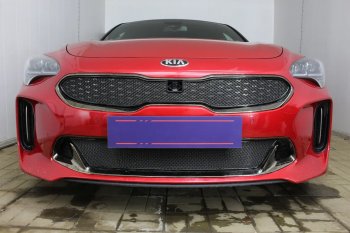 5 999 р. Защитная сетка в бампер (верх, ячейка 4х10 мм) Alfeco Премиум KIA Stinger (2017-2024) (Чёрная)  с доставкой в г. Санкт‑Петербург. Увеличить фотографию 4