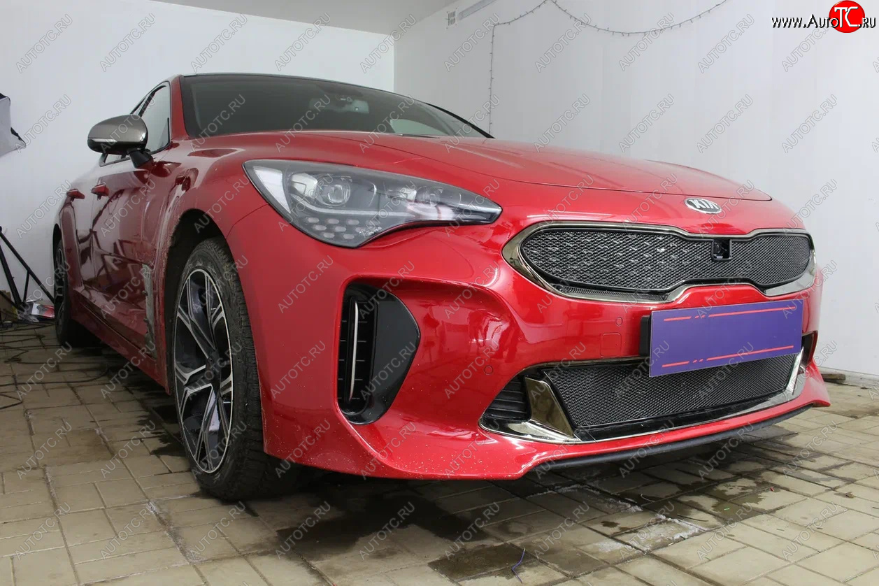 5 999 р. Защитная сетка в бампер (верх, ячейка 4х10 мм) Alfeco Премиум KIA Stinger (2017-2024) (Чёрная)  с доставкой в г. Санкт‑Петербург