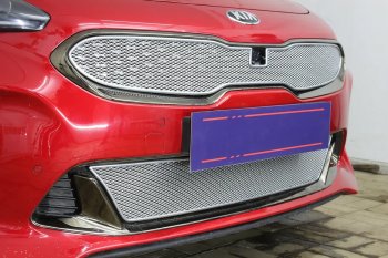 6 299 р. Защитная сетка в бампер (верх, ячейка 4х10 мм) Alfeco Премиум KIA Stinger (2017-2024) (Хром)  с доставкой в г. Санкт‑Петербург. Увеличить фотографию 4