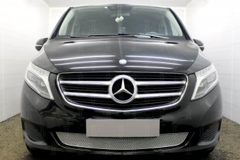 Защитная сетка в бампер (низ, ячейка 4х10 мм) Alfeco Премиум Mercedes-Benz Vito W447 дорестайлинг (2015-2020) ()