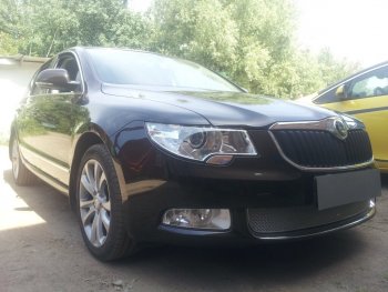 4 299 р. Защитная сетка в бампер (низ, ячейка 4х10 мм) Стрелка11 Премиум Skoda Superb B6 (3T) лифтбэк дорестайлинг (2008-2013) (Хром)  с доставкой в г. Санкт‑Петербург. Увеличить фотографию 2