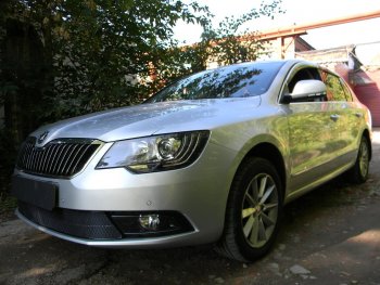 4 599 р. Защитная сетка в бампер (низ, ячейка 4х10 мм) Стрелка11 Премиум Skoda Superb (B6) 3T лифтбэк рестайлинг (2013-2015) (Чёрная)  с доставкой в г. Санкт‑Петербург. Увеличить фотографию 1