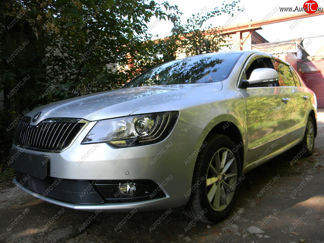 4 599 р. Защитная сетка в бампер (низ, ячейка 4х10 мм) Стрелка11 Премиум Skoda Superb (B6) 3T лифтбэк рестайлинг (2013-2015) (Чёрная)  с доставкой в г. Санкт‑Петербург