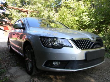 4 599 р. Защитная сетка в бампер (низ, ячейка 4х10 мм) Стрелка11 Премиум Skoda Superb (B6) 3T лифтбэк рестайлинг (2013-2015) (Чёрная)  с доставкой в г. Санкт‑Петербург. Увеличить фотографию 3