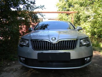 4 599 р. Защитная сетка в бампер (низ, ячейка 4х10 мм) Стрелка11 Премиум Skoda Superb (B6) 3T лифтбэк рестайлинг (2013-2015) (Чёрная)  с доставкой в г. Санкт‑Петербург. Увеличить фотографию 2