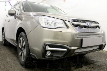 3 999 р. Защитная сетка в бампер (низ, ячейка 4х10 мм) Стрелка11 Премиум Subaru Forester SJ рестайлинг (2016-2019) (Хром)  с доставкой в г. Санкт‑Петербург. Увеличить фотографию 2