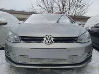 4 299 р. Защитная сетка в бампер (низ, ячейка 4х10 мм) Стрелка11 Премиум Volkswagen Golf 7 дорестайлинг, хэтчбэк 5 дв. (2012-2017) (Хром)  с доставкой в г. Санкт‑Петербург. Увеличить фотографию 1