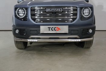 Защита переднего бампера нижняя с ДХО 60,3 мм ТСС Тюнинг Haval (Хавал) Dargo (Дарго) (2022-2024)  (нержавейка)