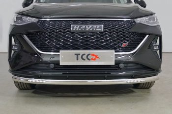 28 699 р. Защита переднего бампера нижняя с ДХО 60,3 мм ТСС Тюнинг Haval F7  рестайлинг (2022-2024) (нержавейка)  с доставкой в г. Санкт‑Петербург. Увеличить фотографию 1