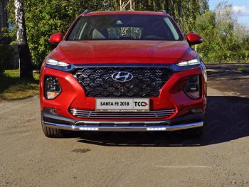 Защита переднего бампера нижняя с ДХО 60,3 мм ТСС Тюнинг Hyundai (Хюндаи) Santa Fe (Санта)  4 TM (2018-2021) 4 TM дорестайлинг  (нержавейка)