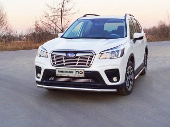 Защита переднего бампера нижняя d60,3 мм ТСС Тюнинг Subaru (Субару) Forester (Форестер)  SK/S14 (2018-2021) SK/S14 дорестайлинг  (нержавейка)