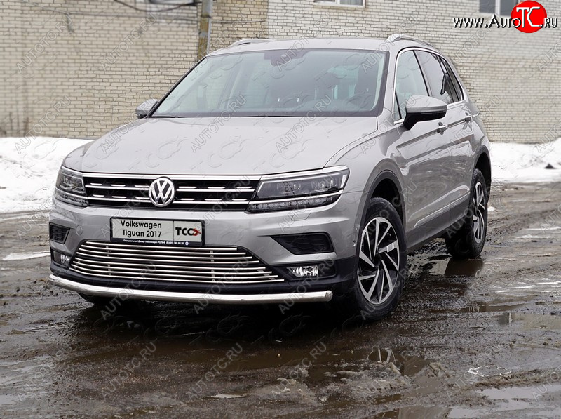 18 449 р. Защита переднего бампера нижняя d60,3 мм ТСС Тюнинг Volkswagen Tiguan Mk2 дорестайлинг (2016-2020) (нержавейка)  с доставкой в г. Санкт‑Петербург