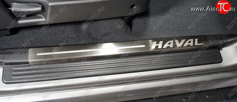 4 499 р. Накладки на пластиковые пороги, ТСС Тюнинг  Haval H5  2 (2020-2024) (лист шлифованный надпись HAVAL)  с доставкой в г. Санкт‑Петербург