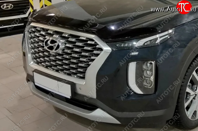 2 699 р. Дефлектор капота SIM Hyundai Palisade LX2 (2018-2022)  с доставкой в г. Санкт‑Петербург