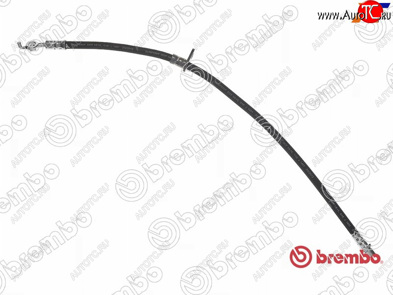 2 359 р. Шланг тормозной передний LH=RH BREMBO  Lexus ES300  XV30 (2001-2006), Toyota Camry  XV30 (2001-2006)  с доставкой в г. Санкт‑Петербург