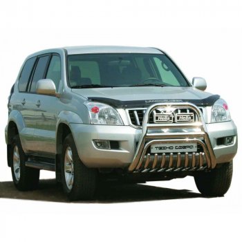 Передок с защитой двигателя крашенная d63.5, Техно Сфера Toyota Land Cruiser Prado J120 (2002-2009)