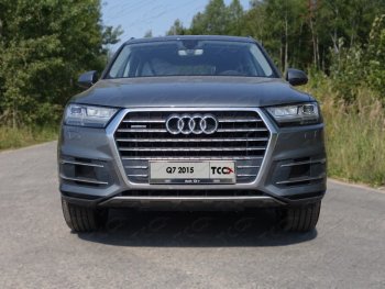 Рамка гос. номера ТСС Тюнинг Audi Q7 4M дорестайлинг (2015-2020)  (нержавейка)