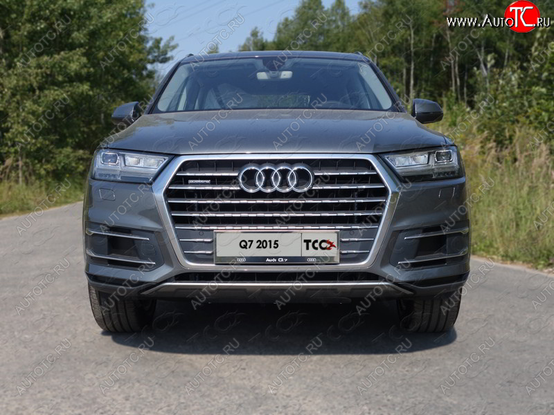 6 249 р. Рамка гос. номера ТСС Тюнинг Audi Q7 4M дорестайлинг (2015-2020) (нержавейка)  с доставкой в г. Санкт‑Петербург