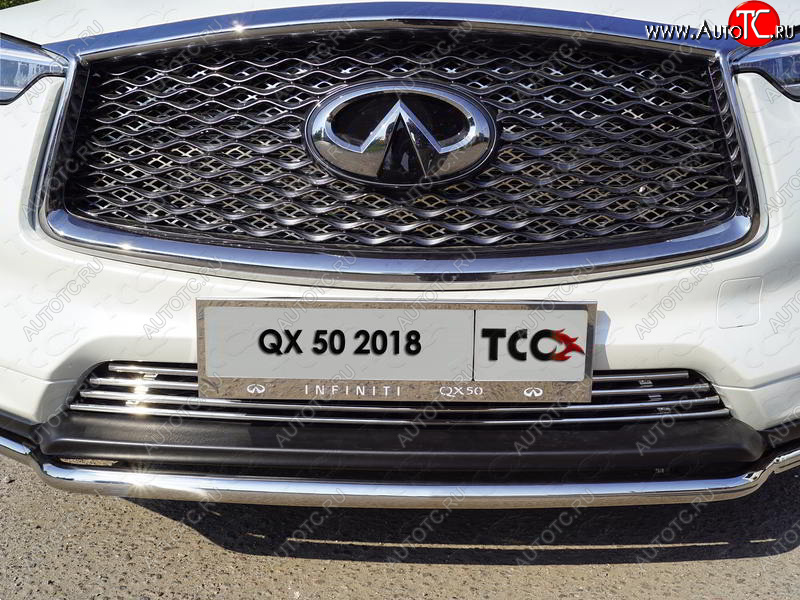 6 249 р. Рамка гос. номера ТСС Тюнинг INFINITI Qx50 J55 (2017-2022) (нержавейка)  с доставкой в г. Санкт‑Петербург