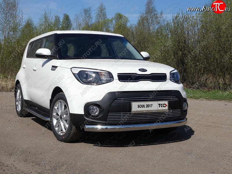 6 199 р. Рамка гос. номера ТСС Тюнинг  KIA Soul  2 PS (2017-2019) (нержавейка)  с доставкой в г. Санкт‑Петербург