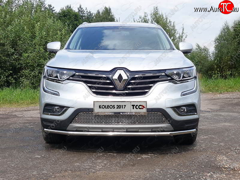 6 249 р. Рамка гос. номера ТСС Тюнинг  Renault Koleos  2 (2016-2024) (нержавейка)  с доставкой в г. Санкт‑Петербург