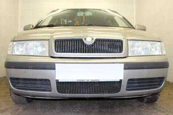 2 499 р. Защита радиатора (Active) Стрелка11 Стандарт  Skoda Octavia ( Tour A4 1U2,  Tour A4 1U5) (2000-2010) лифтбэк рестайлинг, универсал рестайлинг (черная)  с доставкой в г. Санкт‑Петербург. Увеличить фотографию 1