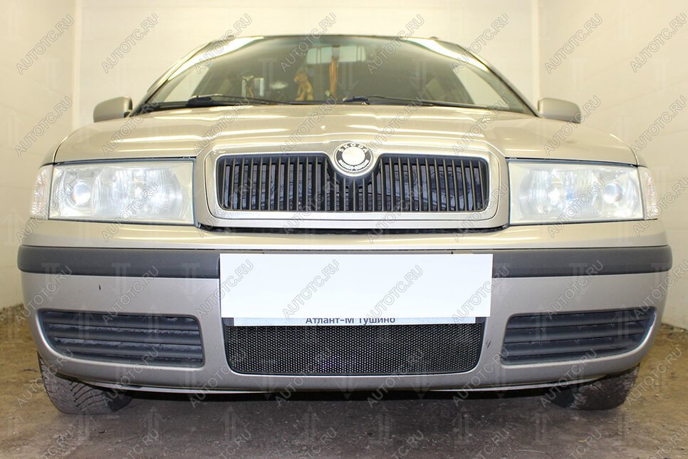 2 499 р. Защита радиатора (Active) Стрелка11 Стандарт  Skoda Octavia ( Tour A4 1U2,  Tour A4 1U5) (2000-2010) лифтбэк рестайлинг, универсал рестайлинг (черная)  с доставкой в г. Санкт‑Петербург