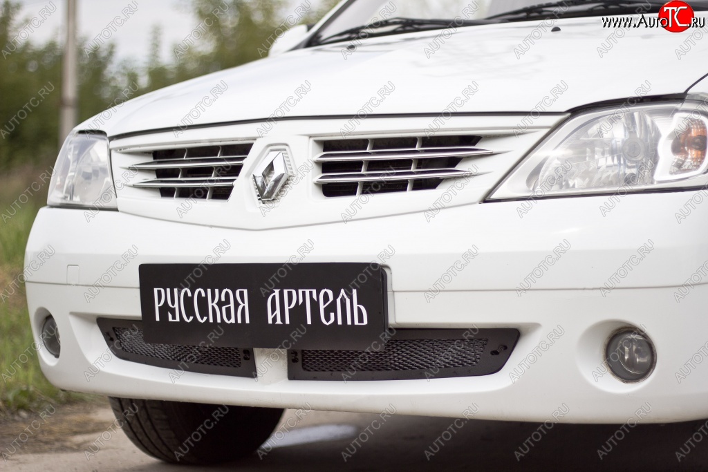 1 799 р. Защитная сетка решетки переднего бампера РА Renault Logan 1 дорестайлинг (2004-2010)  с доставкой в г. Санкт‑Петербург