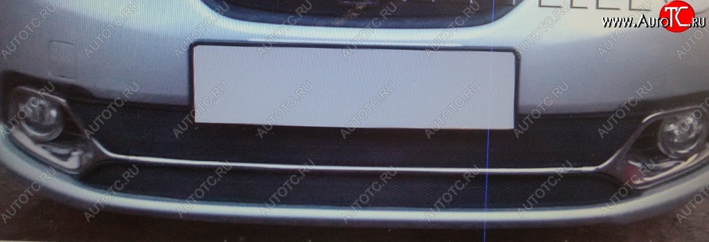 1 789 р. Нижняя защитная сетка на бампер (Privilege, Luxe) Russtal (черная)  Renault Logan  2 (2014-2018)  с доставкой в г. Санкт‑Петербург