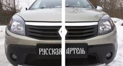 2 149 р. Защитная сетка решетки переднего бампера РА  Renault Sandero Stepway  (BS) (2010-2014)  с доставкой в г. Санкт‑Петербург. Увеличить фотографию 2