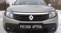 2 149 р. Защитная сетка решетки переднего бампера РА Renault Sandero Stepway (BS) (2010-2014)  с доставкой в г. Санкт‑Петербург. Увеличить фотографию 3