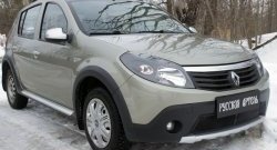 2 149 р. Защитная сетка решетки переднего бампера РА Renault Sandero Stepway (BS) (2010-2014)  с доставкой в г. Санкт‑Петербург. Увеличить фотографию 4