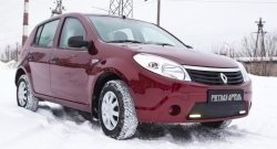 899 р. Зимняя заглушка решетки переднего бампера (с ДХО) РА Renault Sandero (BS) (2009-2014)  с доставкой в г. Санкт‑Петербург. Увеличить фотографию 3