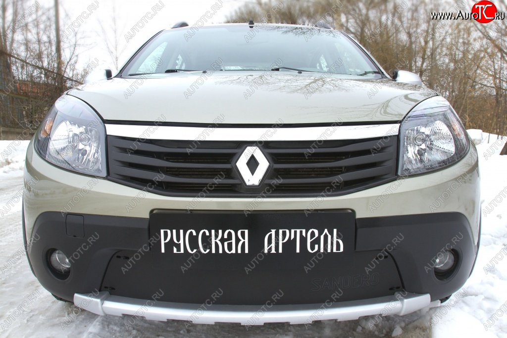 889 р. Зимняя заглушка решетки переднего бампера РА  Renault Sandero Stepway  (BS) (2010-2014)  с доставкой в г. Санкт‑Петербург