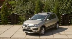 4 699 р. Молдинги дверей RA (комплект) Renault Sandero (B8) дорестайлинг (2014-2018) (Поверхность глянец (под окраску), Неокрашенные)  с доставкой в г. Санкт‑Петербург. Увеличить фотографию 2