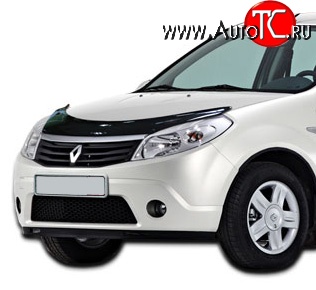 2 699 р. Дефлектор капота NovLine  Renault Sandero  (BS) - Sandero Stepway  (BS)  с доставкой в г. Санкт‑Петербург