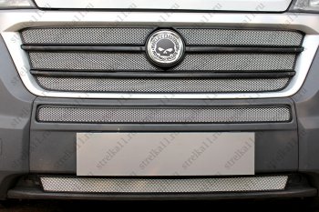 6 499 р. Защитная сетка в бампер (ячейка 3х7 мм, 5 частей) Alfeco Стандарт  Fiat Ducato  290 (2014-2024) (Хром)  с доставкой в г. Санкт‑Петербург. Увеличить фотографию 2