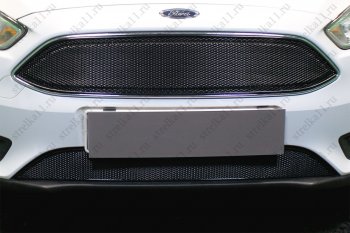 3 999 р. Защитная сетка в бампер (ячейка 4х10 мм, нижняя часть) Alfeco Премиум  Ford Focus  3 (2014-2019) (Чёрная)  с доставкой в г. Санкт‑Петербург. Увеличить фотографию 2