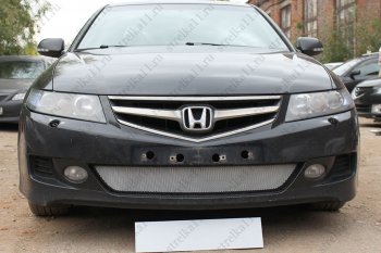 Защитная сетка радиатора в бампер (ячейка 3х7 мм) Стрелка11 Стандарт Honda (Хонда) Accord (Аккорд) ( CL,  CM) (2005-2008) CL, CM седан рестайлинг, универсал рестайлинг