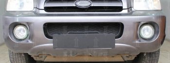 2 969 р. Защитная сетка радиатора в бампер (ячейка 3х7 мм) Стрелка11 Стандарт  Hyundai Santa Fe  1 (2000-2012) (черная)  с доставкой в г. Санкт‑Петербург. Увеличить фотографию 1