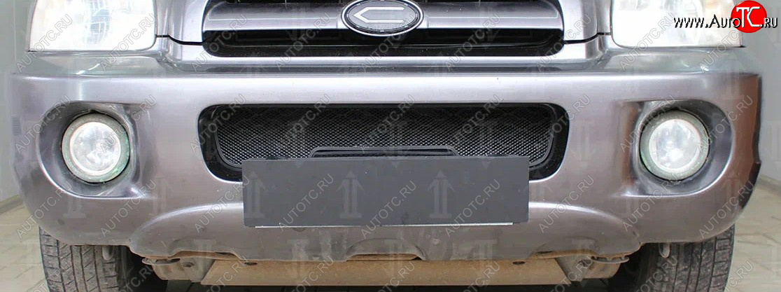 2 969 р. Защитная сетка радиатора в бампер (ячейка 3х7 мм) Стрелка11 Стандарт  Hyundai Santa Fe  1 (2000-2012) (черная)  с доставкой в г. Санкт‑Петербург
