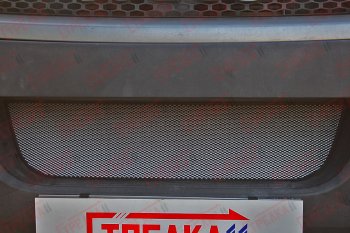 3 099 р. Защитная сетка радиатора в бампер (ячейка 3х7 мм) Стрелка11 Стандарт  Iveco Daily (2006-2011) (хром)  с доставкой в г. Санкт‑Петербург. Увеличить фотографию 2