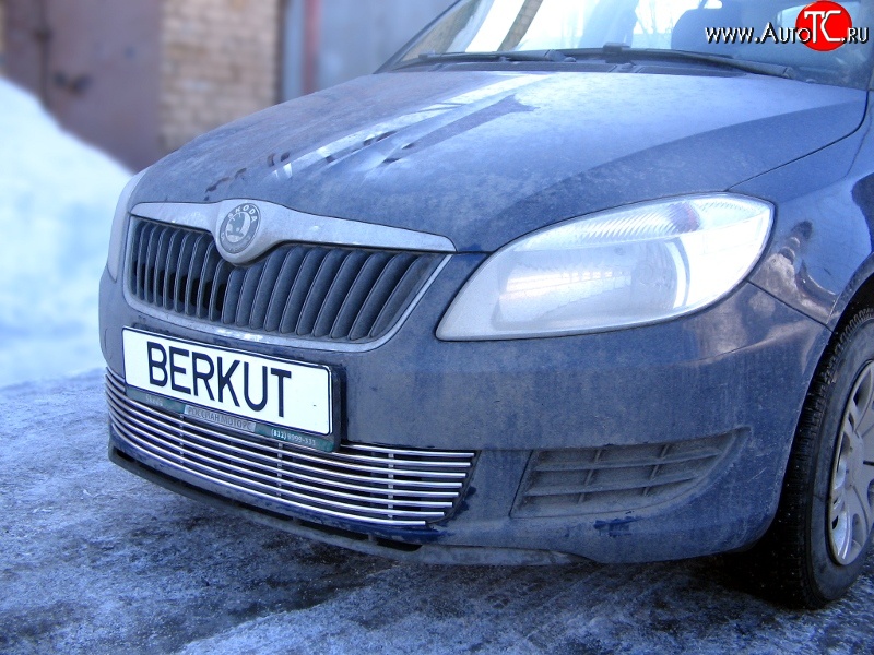 5 899 р. Декоративная вставка воздухозаборника Berkut Skoda Fabia Mk2 универсал дорестайлинг (2007-2010)  с доставкой в г. Санкт‑Петербург