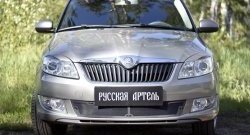 1 999 р. Защитная сетка решетки переднего бампера РА  Skoda Fabia  Mk2 (2010-2014) универсал рестайлинг, хэтчбэк рестайлинг  с доставкой в г. Санкт‑Петербург. Увеличить фотографию 2