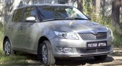 1 999 р. Защитная сетка решетки переднего бампера РА  Skoda Fabia  Mk2 (2010-2014) универсал рестайлинг, хэтчбэк рестайлинг  с доставкой в г. Санкт‑Петербург. Увеличить фотографию 3