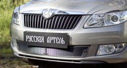 1 999 р. Защитная сетка решетки переднего бампера РА  Skoda Fabia  Mk2 (2010-2014) универсал рестайлинг, хэтчбэк рестайлинг  с доставкой в г. Санкт‑Петербург. Увеличить фотографию 1