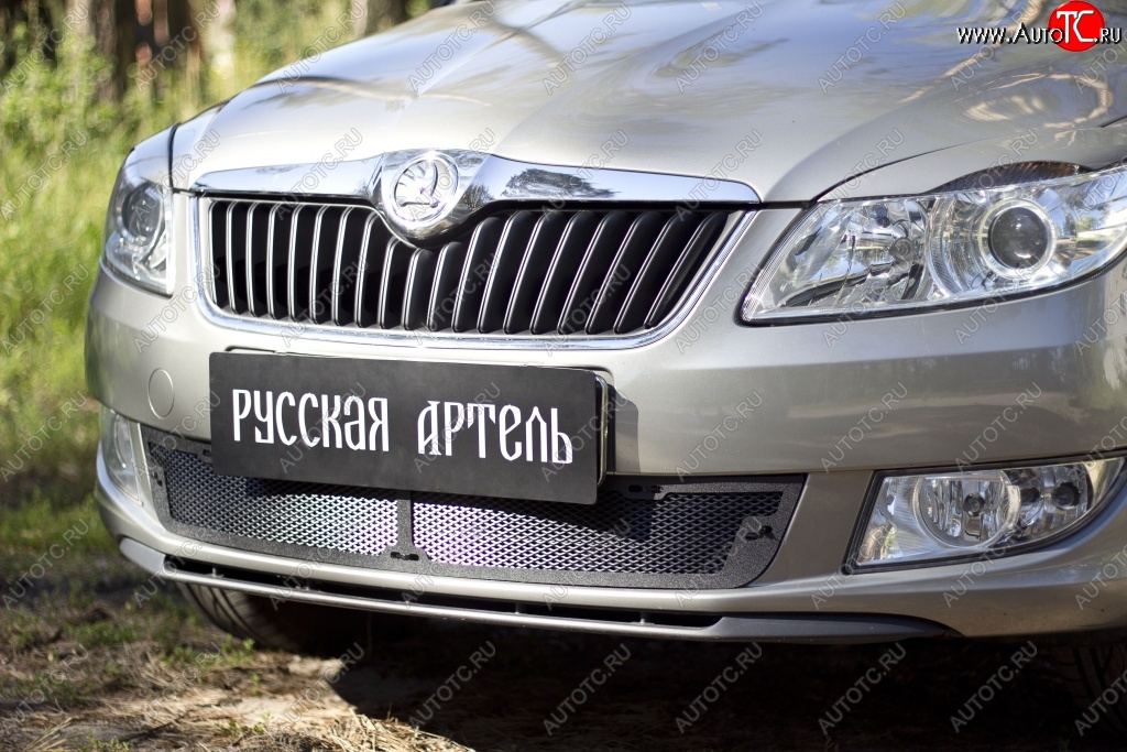 1 999 р. Защитная сетка решетки переднего бампера РА  Skoda Fabia  Mk2 (2010-2014) универсал рестайлинг, хэтчбэк рестайлинг  с доставкой в г. Санкт‑Петербург