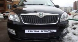 1 469 р. Сетка на бампер (рестайлинг) Russtal (черная)  Skoda Fabia  Mk2 (2007-2010)  с доставкой в г. Санкт‑Петербург. Увеличить фотографию 3